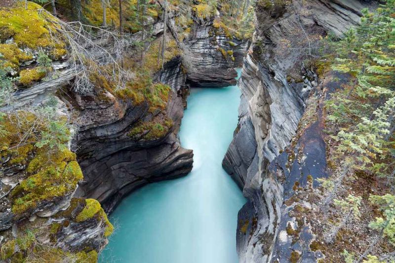 athabasca falls.jpg